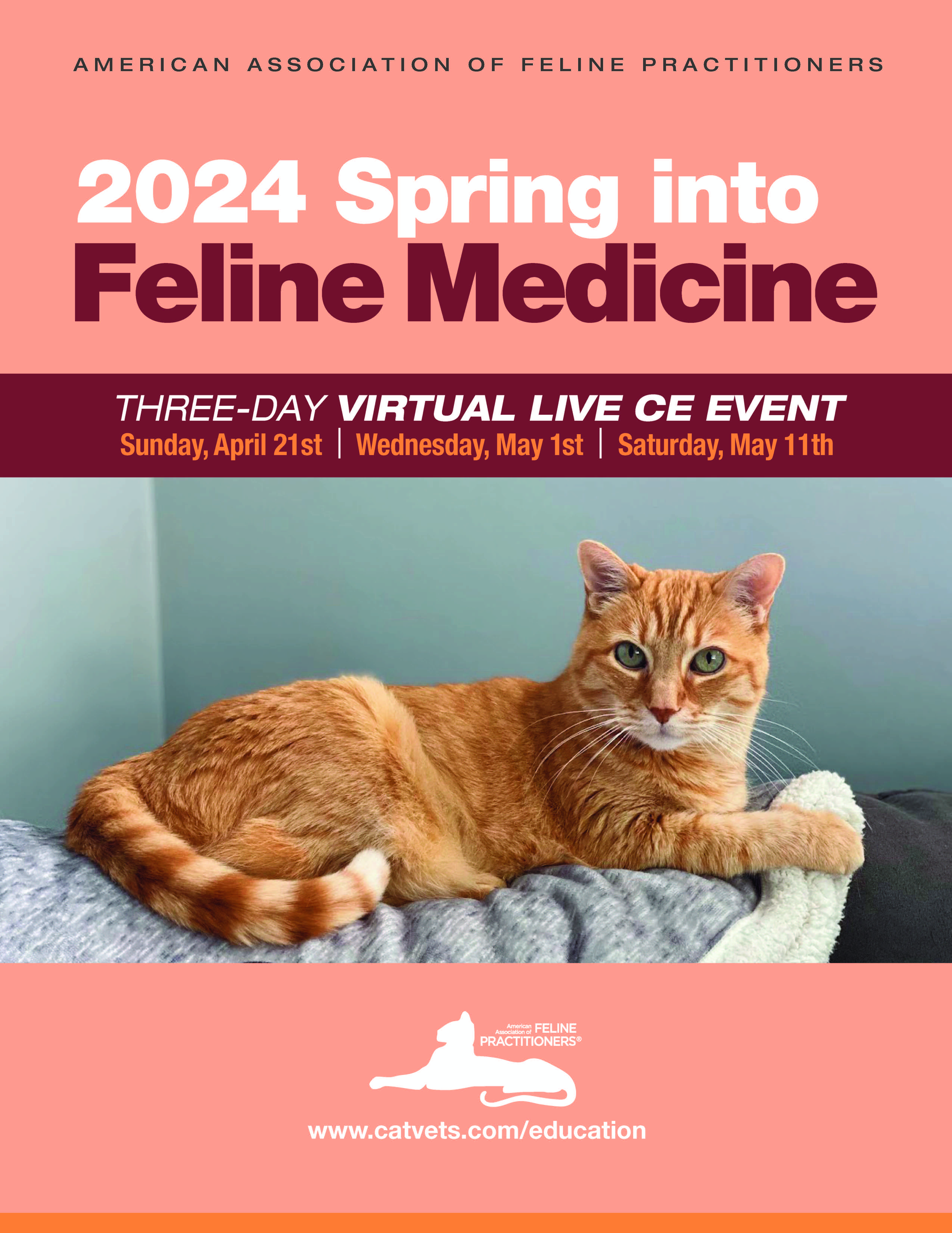 Spring into Feline Medicine 2024