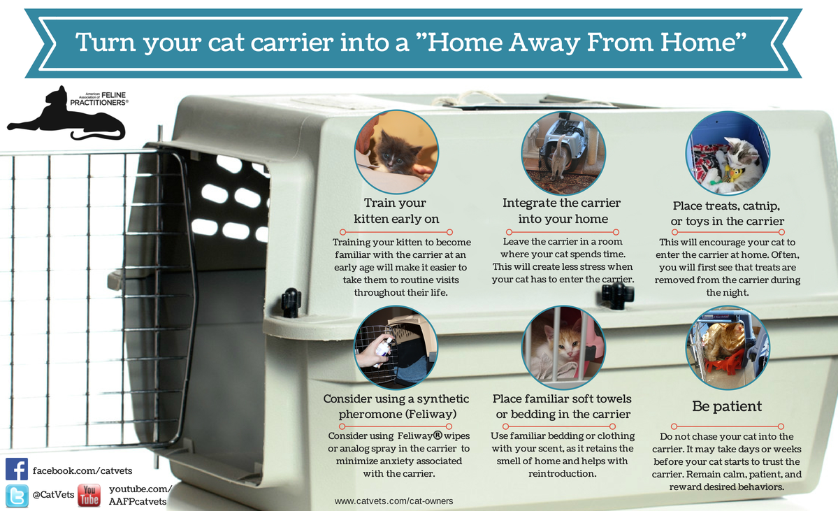 Turn your cat carrier into a home away from home